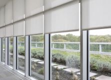 GreenRoof_hi